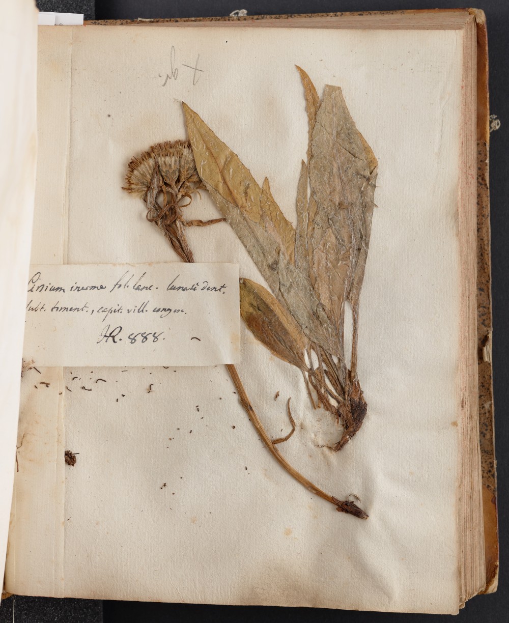 Conservatoire et jardin botaniques de Genève